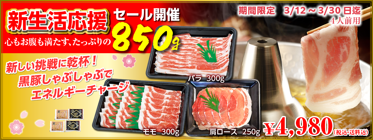 新生活応戦セール