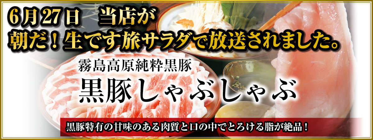 2026朝だ旅サラダで放送されました