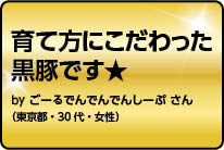 育て方にこだわった黒豚です！